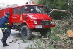 Ηλεία: Ζημιές και πτώσεις δέντρων απο την κακοκαιρία στο δήμο Αρχ. Ολυμπίας