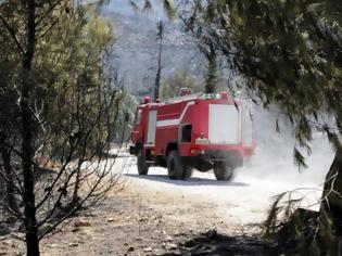 Φωτογραφία για Δυτική Ελλάδα: Σε ύφεση τέσσερα πύρινα μέτωπα