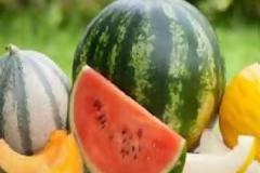 Γευστική δοκιμή και δωρεάν διανομή σπόρων καρπουζιών και πεπονιών την Παρασκευή στη Θεσσαλονίκη