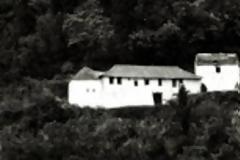 6893 - Μοναχός Τρύφων Καψαλιώτης (1892 – 6 Αυγούστου 1978)