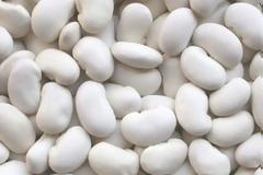 Άμεση αποζημίωση ζητούν οι φασολοπαραγωγοί των Πρεσπών μετά την καταστροφή της παραγωγής τους