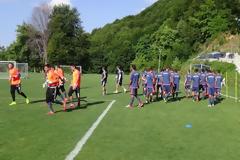 ΣΥΝΕΧΕΙΑ ΣΤΗΝ ΠΡΟΕΤΟΙΜΑΣΙΑ ΤΩΝ ΠΙΤΣΙΡΙΚΑΔΩΝ ΤΟΥ ΘΡΥΛΟΥ