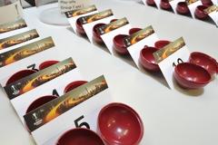 ΟΛΑ ΤΑ ΖΕΥΓΑΡΙΑ ΤΩΝ PLAY OFFS TOY EUROPA LEAGUE!