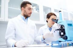 Οι επιστήμονες μετέτρεψαν κύτταρα του δέρματος σε νευρώνες