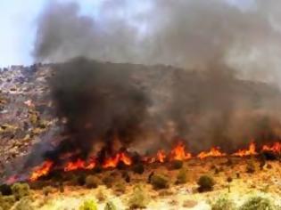 Φωτογραφία για Εκκενώνεται ισπανική πόλη λόγω πυρκαγιάς