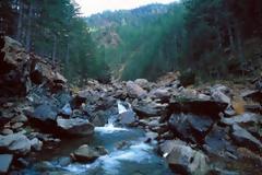 H Telegraph κάνει «focus» στην άγρια φύση της Ελλάδας - Ποια μέρη ξεχωρίζει