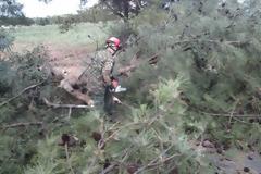 ΣΥΜΜΕΤΟΧΗ ΜΕΛΩΝ ΤΗΣ ΛΕΦΕΔ ΧΑΛΚΙΔΙΚΗΣ ΣΤΗΝ ΚΑΤΑΣΒΕΣΗ ΔΑΣΙΚΗΣ ΠΥΡΚΑΓΙΑΣ ΣΤΟ ΠΕΥΚΟΧΩΡΙ