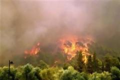 Ολονύχτια μάχη με τις φλόγες στην Πάρνηθα - Έσωσαν τα  σπίτια