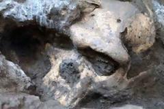 Βόλος: Κρανίο εκατομμυρίων ετών στο Μουσείο Φυσικής Ιστορίας