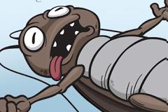 Πώς θα απαλλαγείτε οριστικά από τις κατσαρίδες...