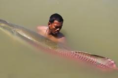 Δείτε το ποταμίσιο τέρας του Αμαζονίου που τρώγεται και είναι πεντανόστιμο! [video]