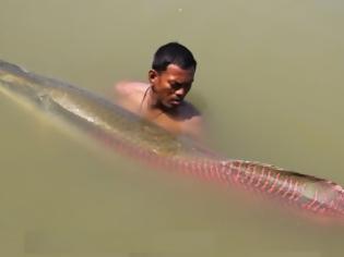 Φωτογραφία για Δείτε το ποταμίσιο τέρας του Αμαζονίου που τρώγεται και είναι πεντανόστιμο! [video]