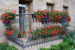 Ποιος θα μας ποτίσει τα φυτά, όταν είμαστε διακοπές;