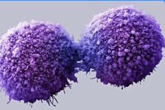 ΑΥΤΕΣ είναι οι 50 συνηθισμένες χημικές ουσίες μας απειλούν καθημερινά