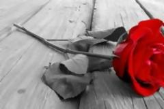 Έφυγε από τη ζωή ο παλιός Πατρινός σαξοφωνίστας Μίμης Αργυρόπουλος