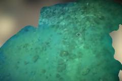 Βυθισμένος οικισμός από την αρχαιότητα βρέθηκε στην Αργολίδα!