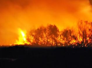 Φωτογραφία για Αχαΐα-ΤΩΡΑ: Πυρκαγιά σε δασική έκταση στο Γιαννισκάρι – Κατευθύνεται προς Καλογριά - Σκληρή μάχη με τις φλόγες