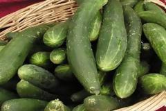 Το αγγούρι δεν κάνει μόνο για τη σαλάτα - Χρήσεις του ζαρζαβατικού που θα σας καταπλήξουν