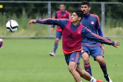 ΠΟΥΛΙΔΟ : ΔΕΝ ΗΘΕΛΑ ΝΑ ΓΥΡΙΣΩ ΣΤΗΝ ΤΙΓΚΡΕΣ