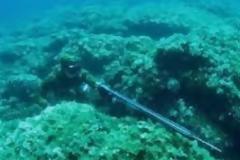 Τραγωδία με 35χρονο ψαροντουφεκά