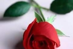 Πάτρα: Πέθανε η Θέκλα Κούφη - Ακολούθησε τον σύζυγό της λίγες μέρες μετά τον θανατό του