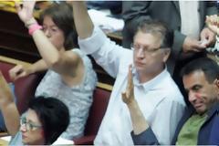 Ποια βουλευτής πήγε στη Βουλή φορώντας μπλούζα με μολότοφ; [photos]