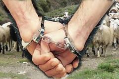 ΑΠΡΟΣΜΕΝΗ εξέλιξη είχε η αναζήτηση των αστυνομικών του Α.Τ. Αριδαίας...