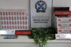 Βέροια: 54χρονος καλλιεργούσε δενδρύλλια κάνναβης δίπλα σε ρέμα