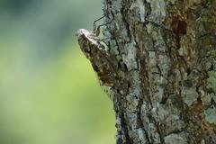 Μετά την ψήφιση του τρίτου μνημονίου και μπροστά στο eurogroup και την Γερμανία…