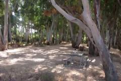 Σύσκεψη για την Προστασία του Αισθητικού Δάσους του Μονολιθίου Πρεβέζης