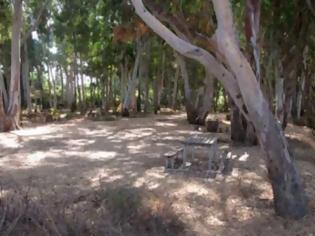 Φωτογραφία για Σύσκεψη για την Προστασία του Αισθητικού Δάσους του Μονολιθίου Πρεβέζης