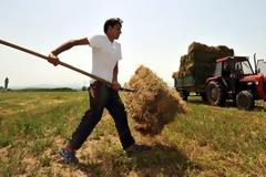 Νέα έρευνα: Οι Έλληνες έχουν στο DNA τους τον αγρότη