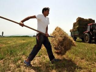 Φωτογραφία για Νέα έρευνα: Οι Έλληνες έχουν στο DNA τους τον αγρότη