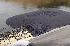 Γιατί έριξαν εκατομμύρια 