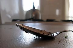 Εχετε μυρμήγκια στο σπίτι; Έτσι θα τα εξαφανίσετε...