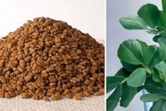 Το βότανο που χτυπάει διαβήτη, χοληστερόλη και αυξάνει το στήθος...