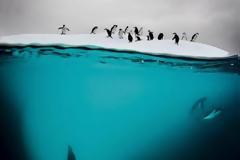 ΑΥΤΑ είναι τα 15+1 πράγματα που δεν ήξερες για την Ανταρκτική... [photo]