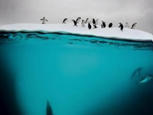 Φωτογραφία για ΑΥΤΑ είναι τα 15+1 πράγματα που δεν ήξερες για την Ανταρκτική... [photo]