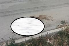 ΦΡΙΚΙΑΣΤΙΚΕΣ ΕΙΚΟΝΕΣ: Σφάγια και εντόσθια ζώων πεταγμένα στο κέντρο της Κάτω Αχαΐας - Παρέμβαση εισαγγελέα ζητά ο αντιδήμαρχος [photo]