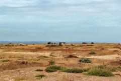 Απ΄τη μύγα ξύγκι: Οι Βρετανοί έβγαλαν στο σφυρί τη μοναδική τους έρημο - Διαβάστε το ποσό