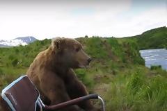 Καθόταν ανέμελος στο ποτάμι μέχρι που εμφανίστηκε μια αρκούδα και αποφάσισε να του κάνει παρέα... [video]