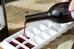 ΤΕΛΕΙΟ: 9 πρωτότυποι τρόποι για να χρησιμοποιείτε τις παγοθήκες!  [photos]