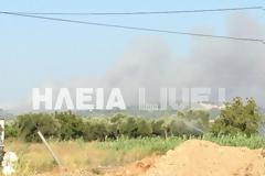 Φωτιά σε δασική έκταση στην Ανάληψη Αμαλιάδας