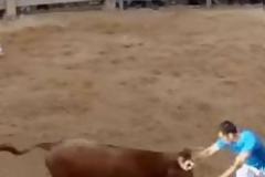 ΣΟΚ: Ακόμα ένας νεκρός σε ταυρομαχία στην Ισπανία με φρικτό τρόπο [video]