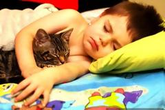 Πώς οι γάτες επηρεάζουν την απόδοση των παιδιών