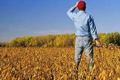 Δωρεάν σπόροι σε παραγωγούς οπωροκηπευτικών - Ποίοι δικαιούνται