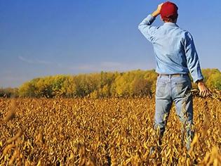 Φωτογραφία για Δωρεάν σπόροι σε παραγωγούς οπωροκηπευτικών - Ποίοι δικαιούνται