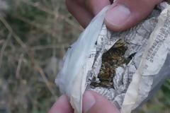 Τον κύριο τον μάγκωσαν γιατί ήταν 