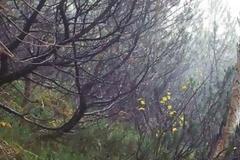 To 97% των ανθρώπων ΔΕΝ μπορεί να βρει τους στρατιώτες σε αυτές τις φωτογραφίες - ΕΣΥ μπορείς; [photos]