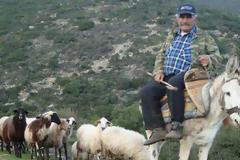 Εισαγωγή 650 βοσκών στην Ήπειρο με βασικό μισθό και ασφάλιση!